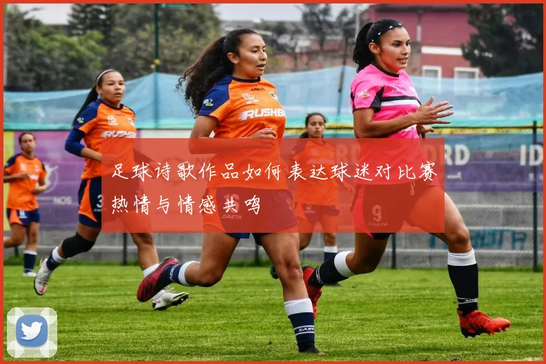足球诗歌作品如何表达球迷对比赛热情与情感共鸣