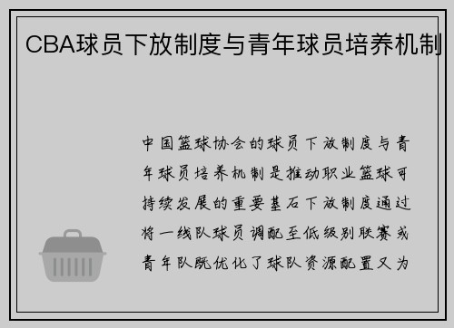CBA球员下放制度与青年球员培养机制